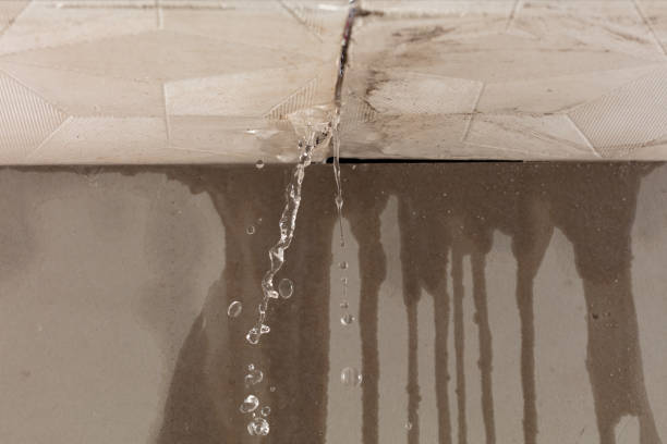 Professional Structural Drying technician working in Holliston, MA